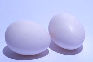 仙台の最新カフェガイド2026｜絶品ドリンクとおしゃれ空間を徹底紹介