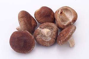 池袋西口エリアで楽しむ絶品海鮮居酒屋！磯丸水産の魅力と店舗情報