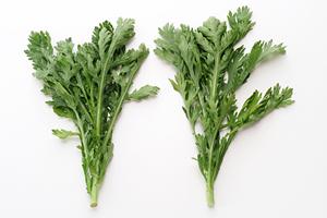 日本最大級のゲームバーのご紹介