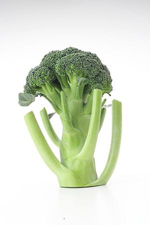 2025年最新版 お歳暮に選びたい絶品ドイツソーセージ完全ガイド