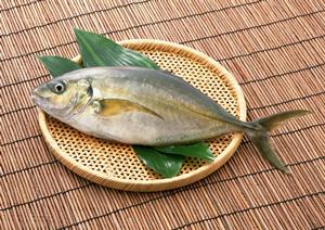 銀座で味わう絶品焼き鳥！こだわりの店とおすすめメニュー徹底ガイド