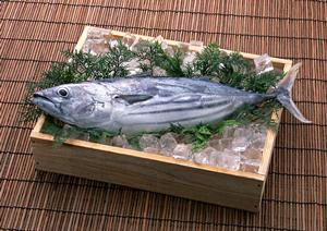 焼肉 飛車角 横浜店の魅力と特長