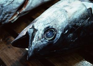 仙台で熟成肉が食べられる酒場とは