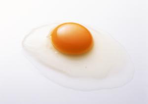 渋谷水タバコでゆったりとしたひと時を