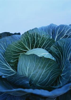 中長期的な断食を成功させるためには