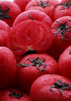 旭川の伝統と革新が融合した奥芝商店 旭川亭｜スープカレーの魅力と店舗情報詳細