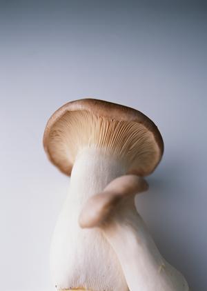 かまどか 上野店 – 鶏素揚げ・肴・釜めしの豊かな選択肢