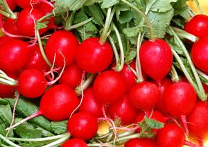 安く美味いメニューが揃う福山駅の居酒屋