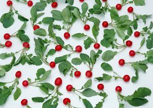 寿司店でも使える和風アイテムを扱う通販