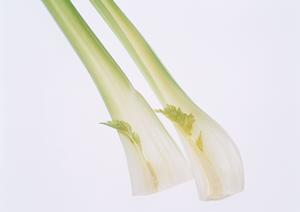 埼玉・大宮で絶品！伝説のすた丼屋 大宮東口店の魅力と詳しい情報