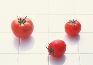 東京シーシャバーのモフームについて